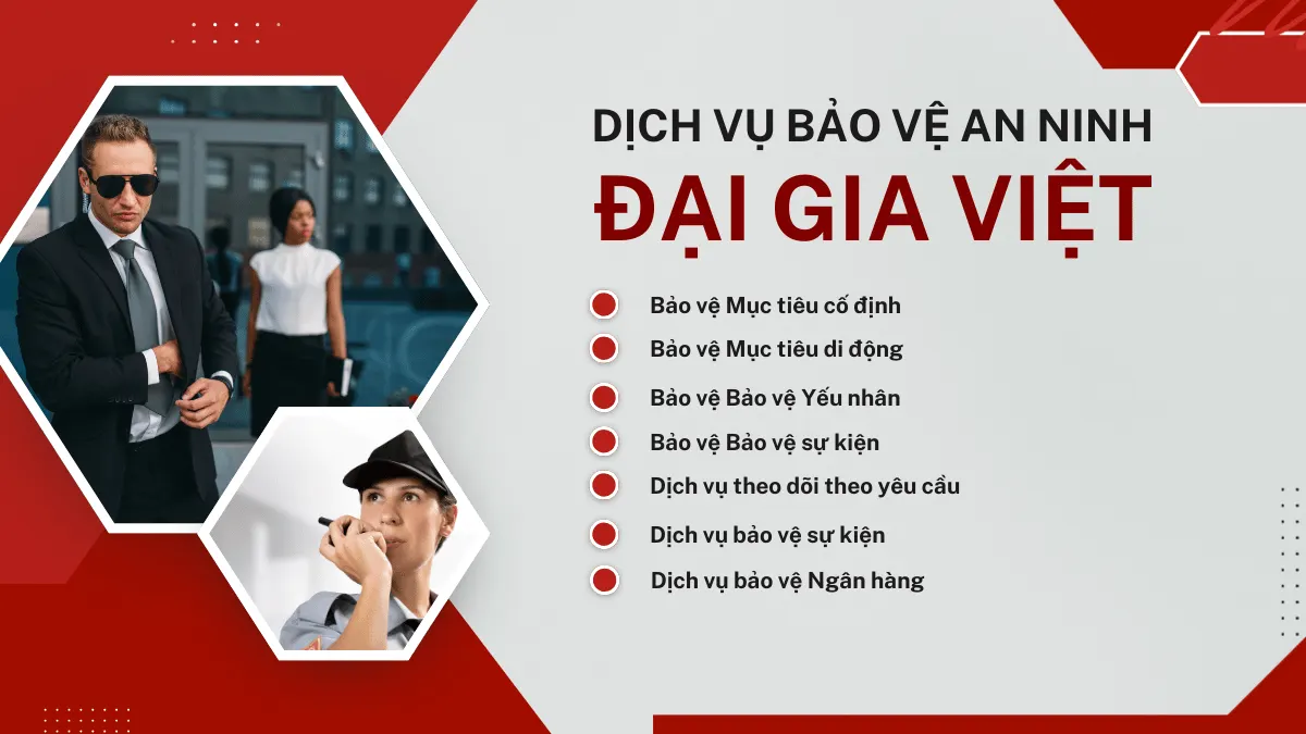 dich vu bao ve dai gia viet 1